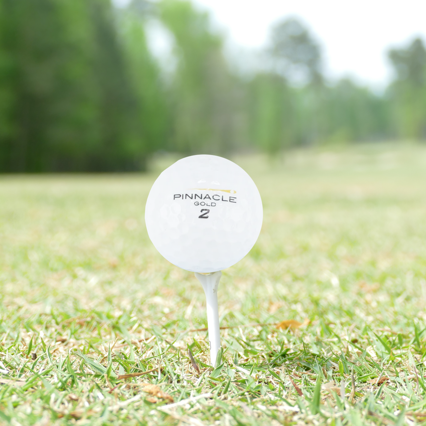 Used Pinnacle Mix Golf Balls - 1 Dozen