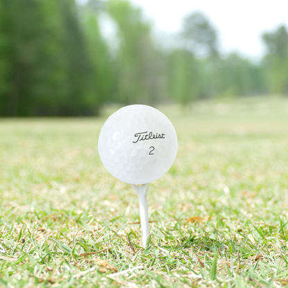 Used Titleist 2023 Pro V1 Golf Balls - 1 Dozen